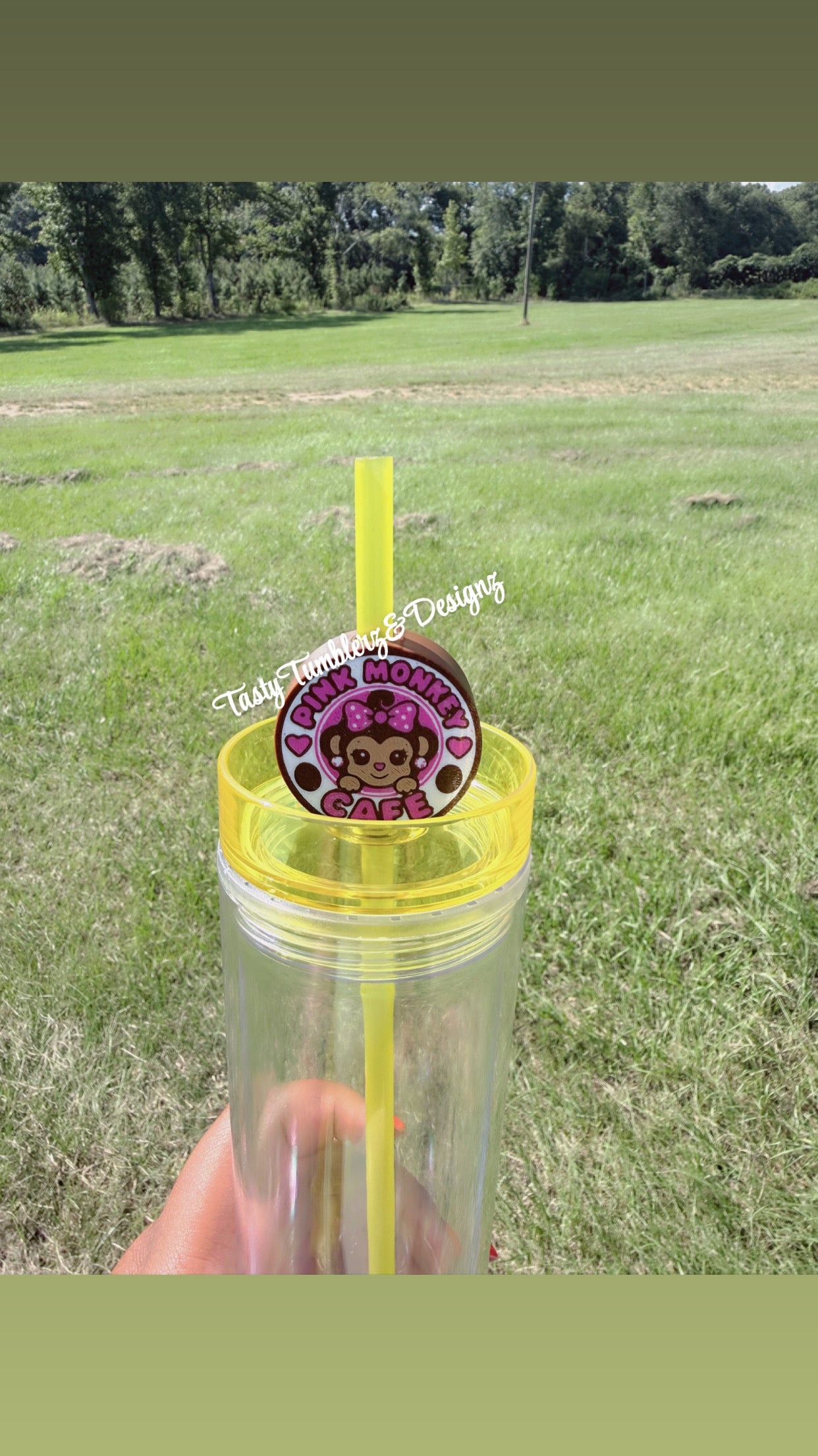 Pink Monkey Staw Topper